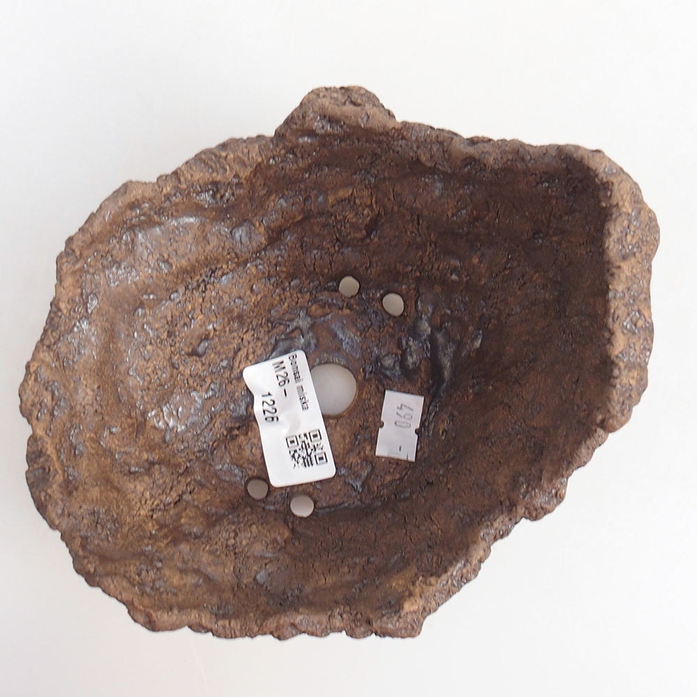 Ceramiczna skorupa 14 x 12 x 13 cm, kolor brązowy