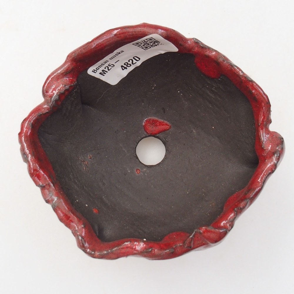 Muszla ceramiczna 9,5 x 8,5 x 6 cm, kolor czerwony