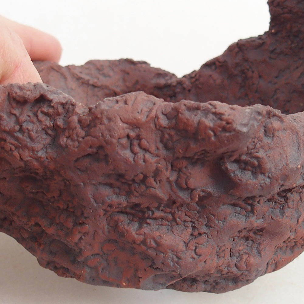 Muszla ceramiczna 10 x 8 x 8,5 cm, kolor brązowy