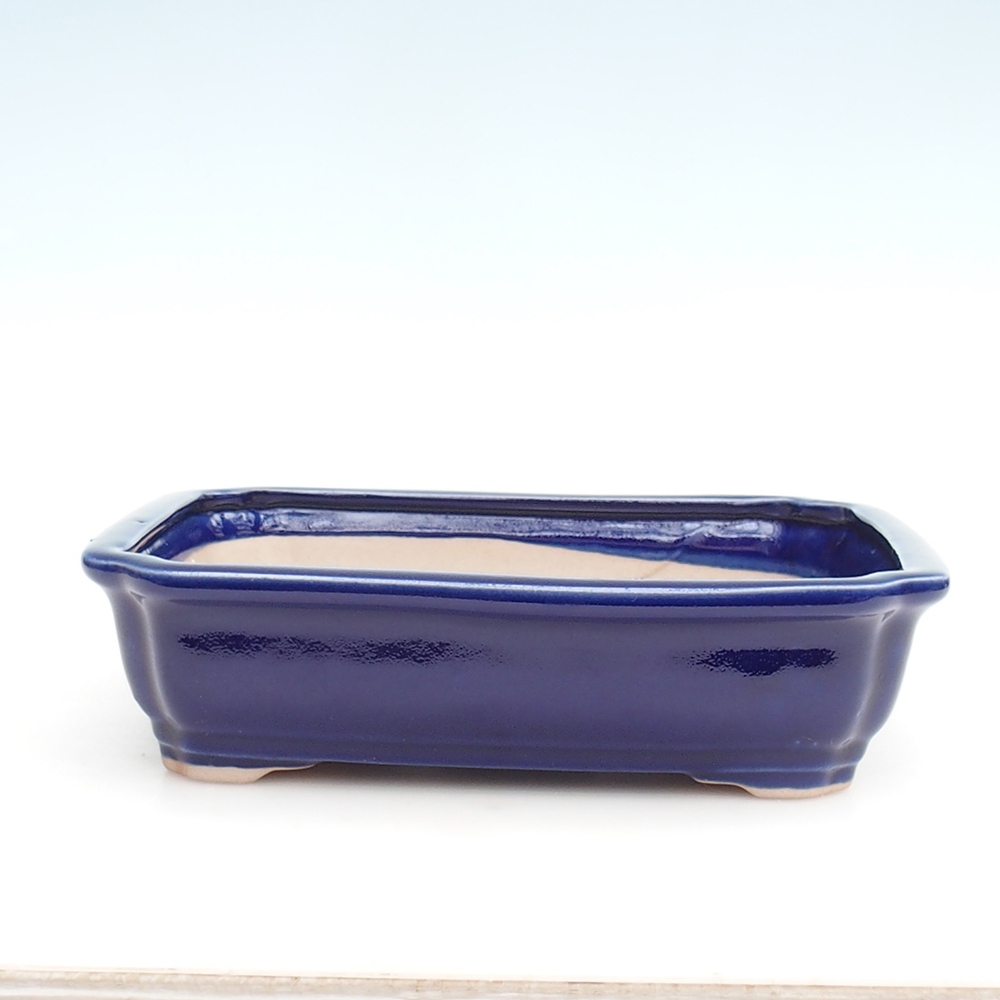 Bonsai bowl H20 - 26,5 x 21,5 x 6,5 cm. - niebieski