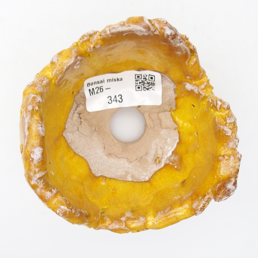 Ceramiczna muszla 9 x 9 x 6 cm, żółta