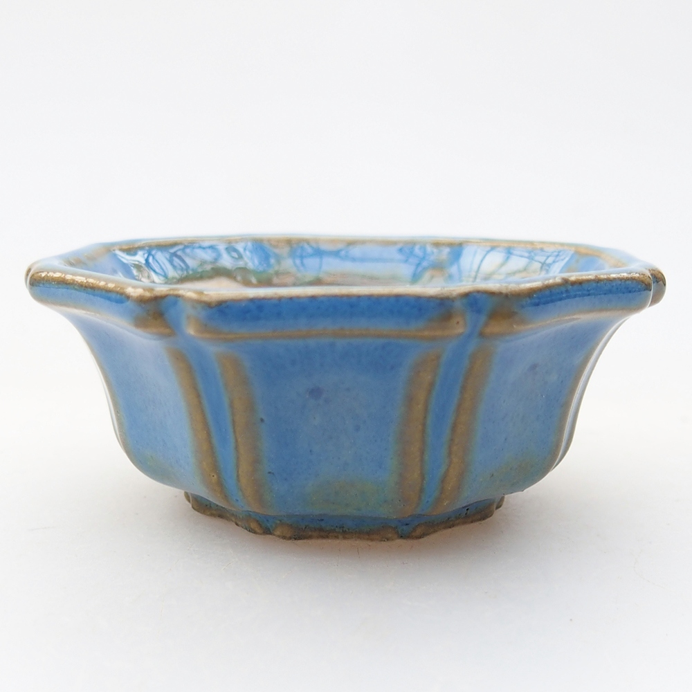 Mini miska do bonsai 6 x 6 x 2,5 cm, kolor niebieski