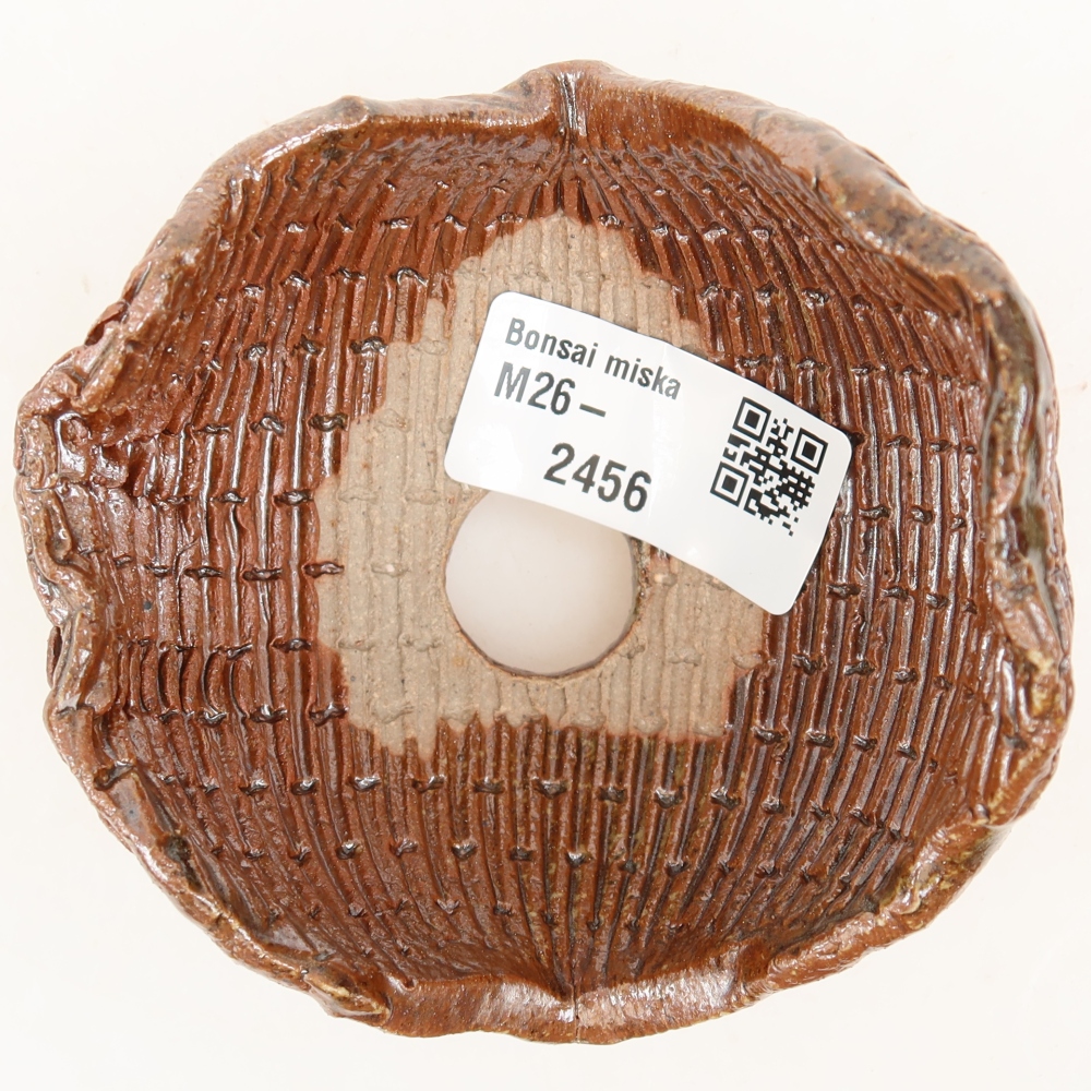 Ceramiczna skorupa  9 x 8,5 x 7 cm, kolor brązowy