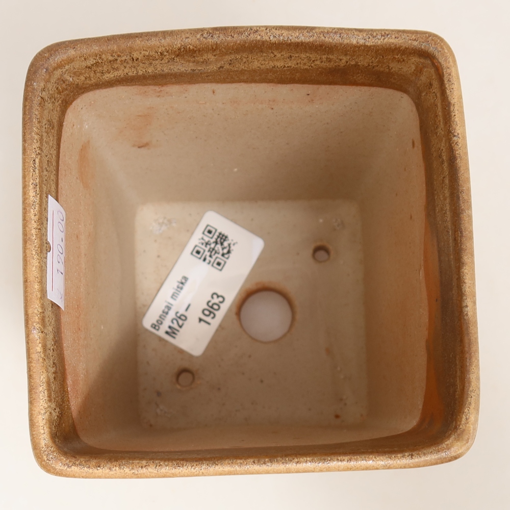 Ceramiczna miska do bonsai 9 x 9 x 11 cm, kolor beżowy