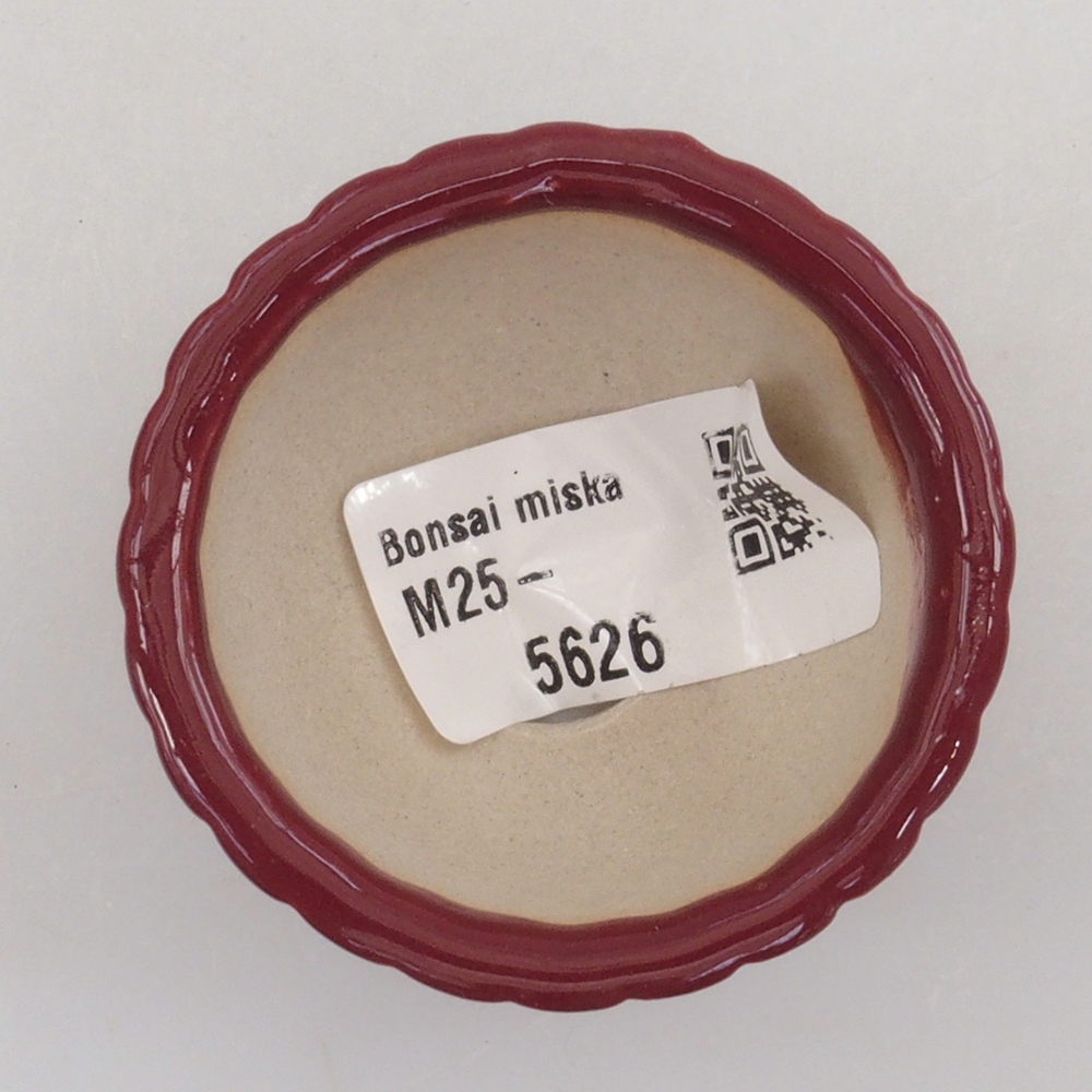 Mini miska bonsai 5 x 5 x 2,5 cm, kolor bordowy