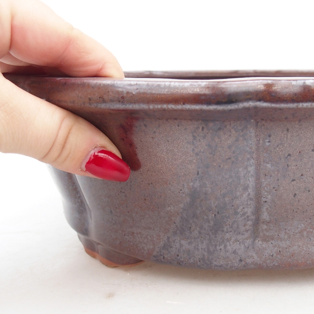 Ceramiczna miska do bonsai 26,5 x 26,5 x 8,5 cm, brązowa