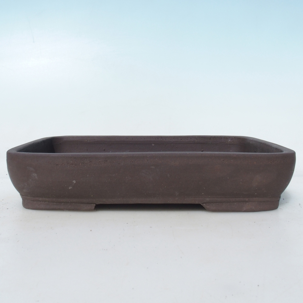 Misa do bonsai 25,5 x 17,5 x 5 cm brzoza brązowa