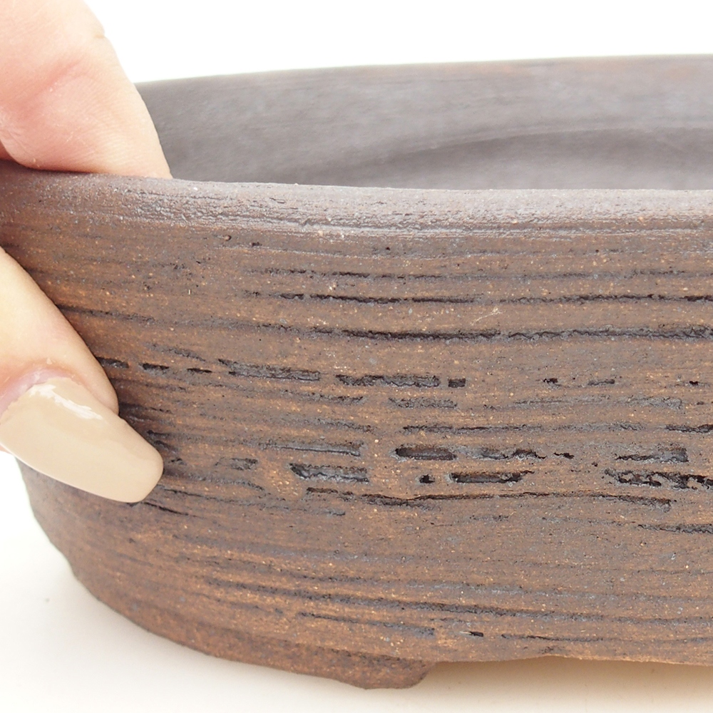 Misa do bonsai 20 x 16 x 6 cm, kolor brązowy