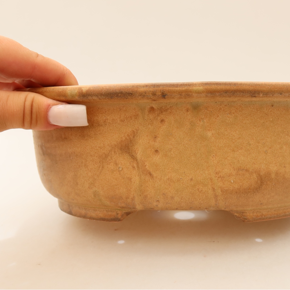 Ceramiczna miska do bonsai 23 x 19 x 8 cm, kolor beżowy