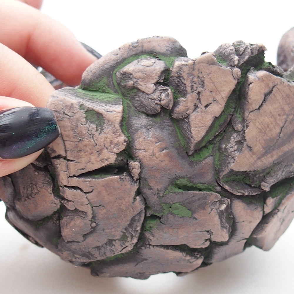 Ceramiczna muszla 10,5 x 10,5 x 8 cm, kolor zielony