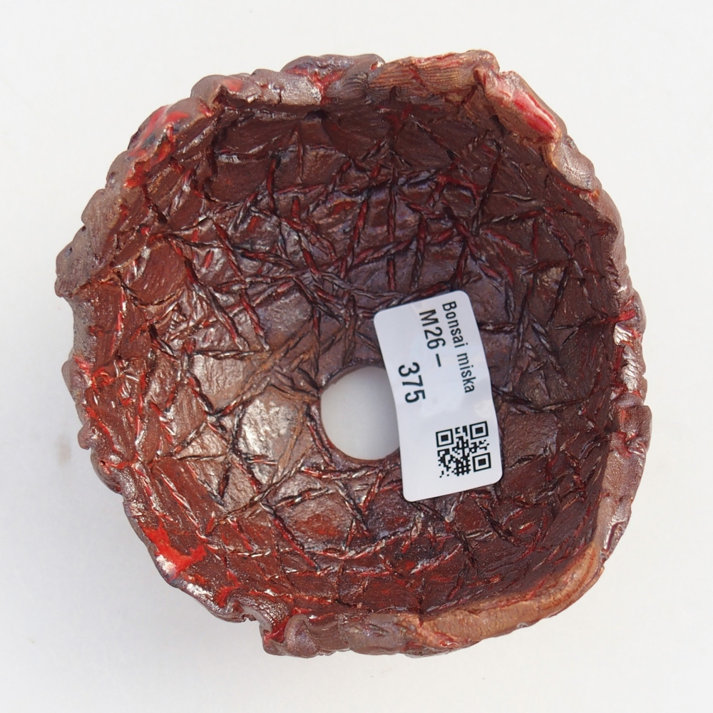 Ceramiczna muszla 9,5 x 9,5 x 7 cm, kolor brązowy