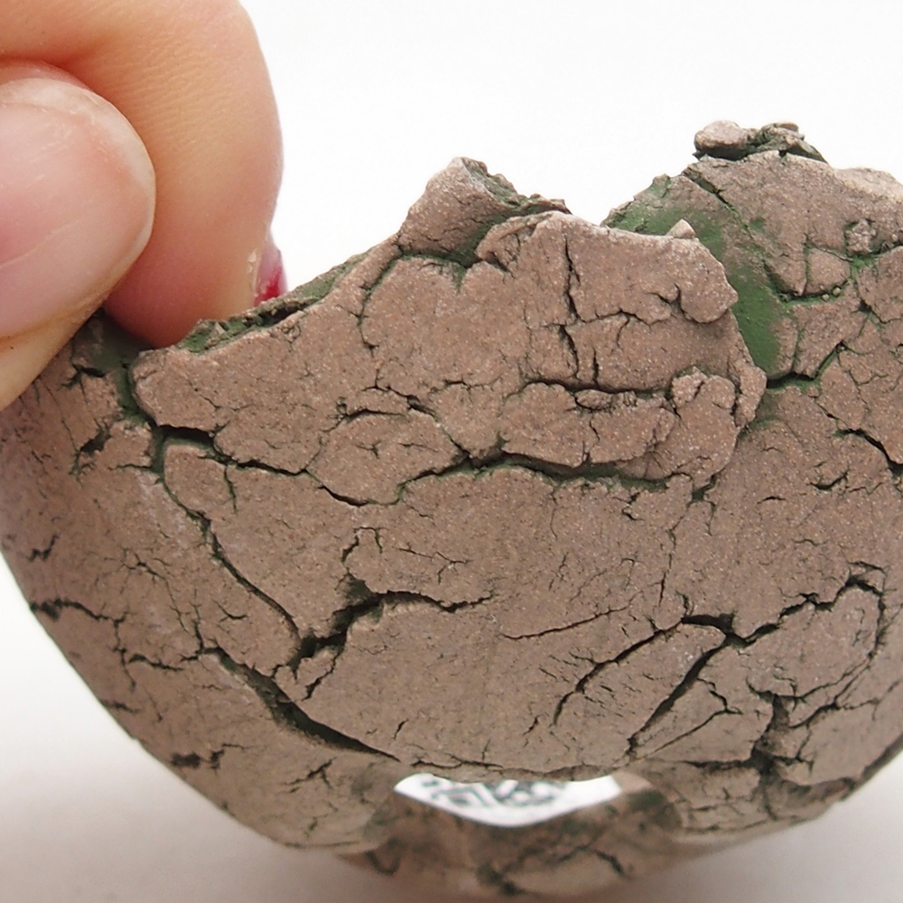 Ceramiczna muszla 7 x 7 x 4 cm, kolor zielony
