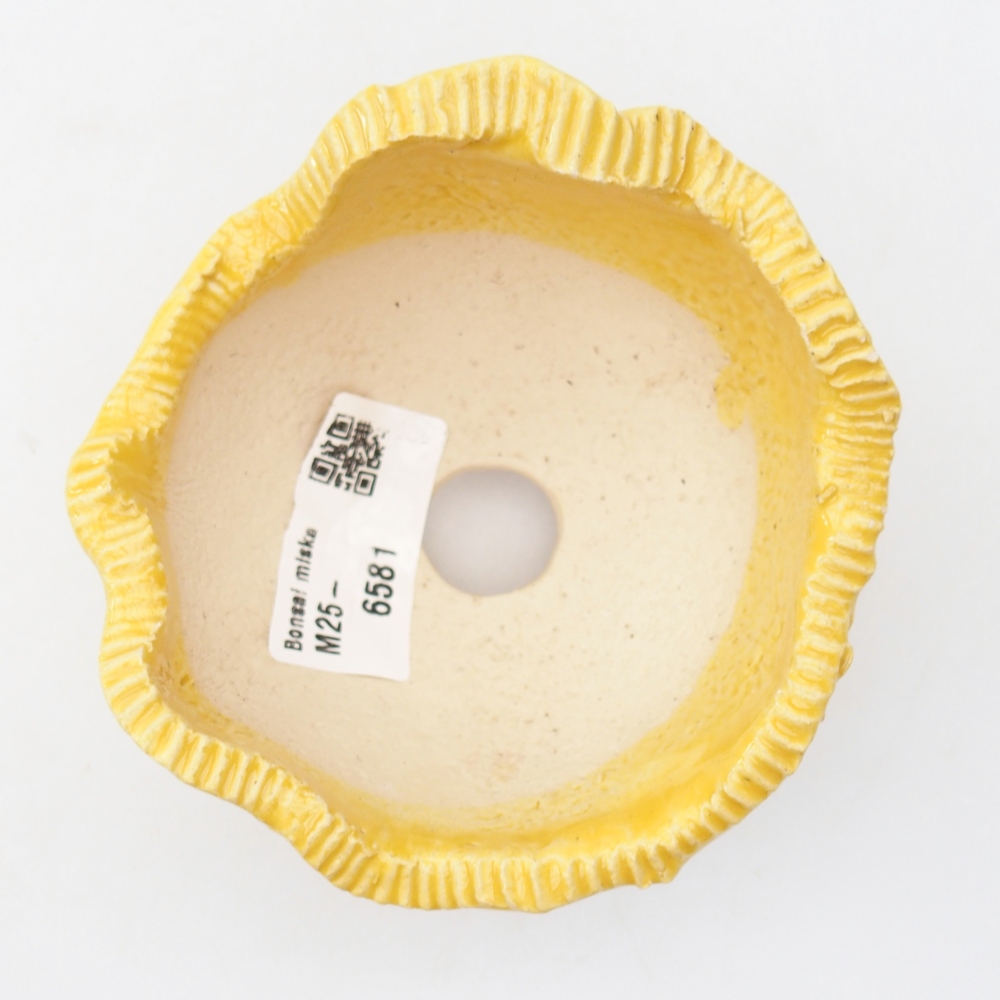 Ceramiczna muszla 9 x 9,5 x 7 cm, żółta