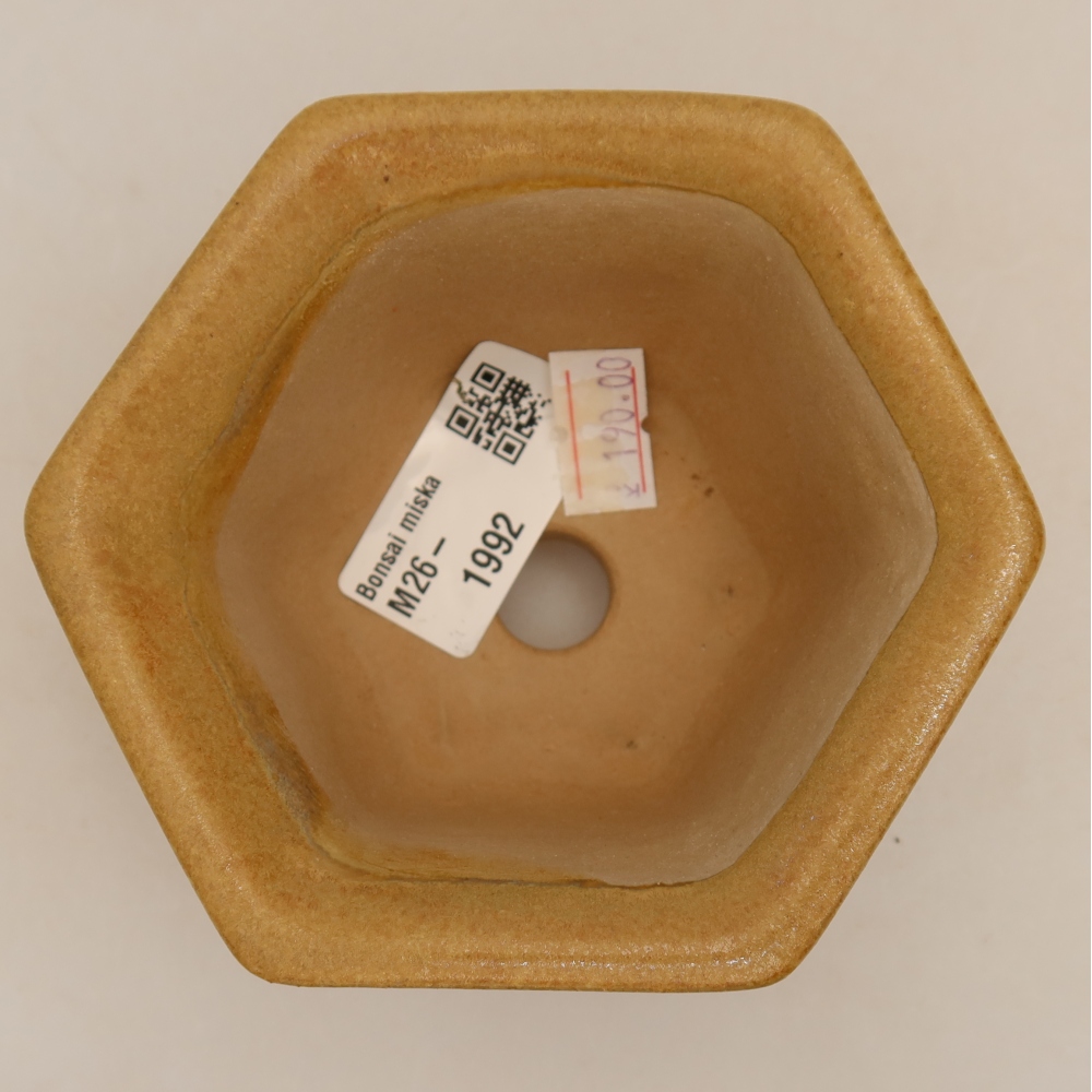 Ceramiczna miska do bonsai 10,5 x 9,5 x 5,5 cm, kolor beżowy