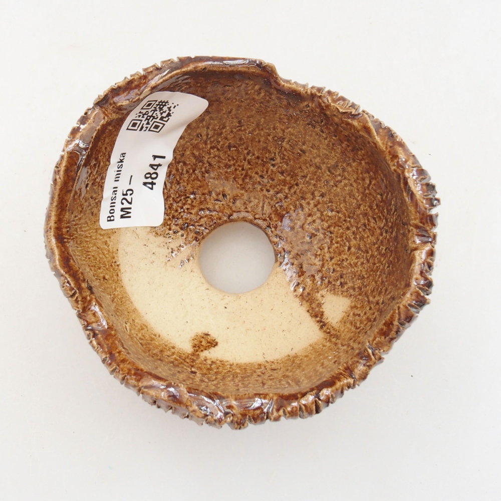 Muszla ceramiczna 8 x 7,5 x 6 cm, kolor brązowy