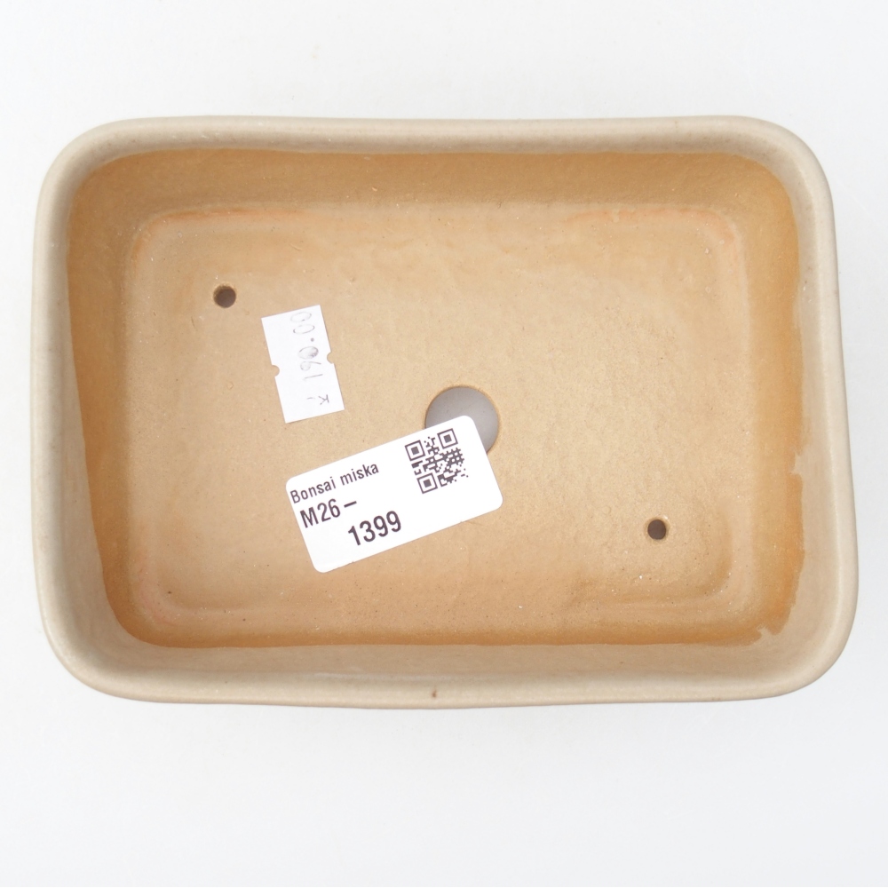 Ceramiczna miska do bonsai 14,5 x 10,5 x 4,5 cm, kolor beżowy