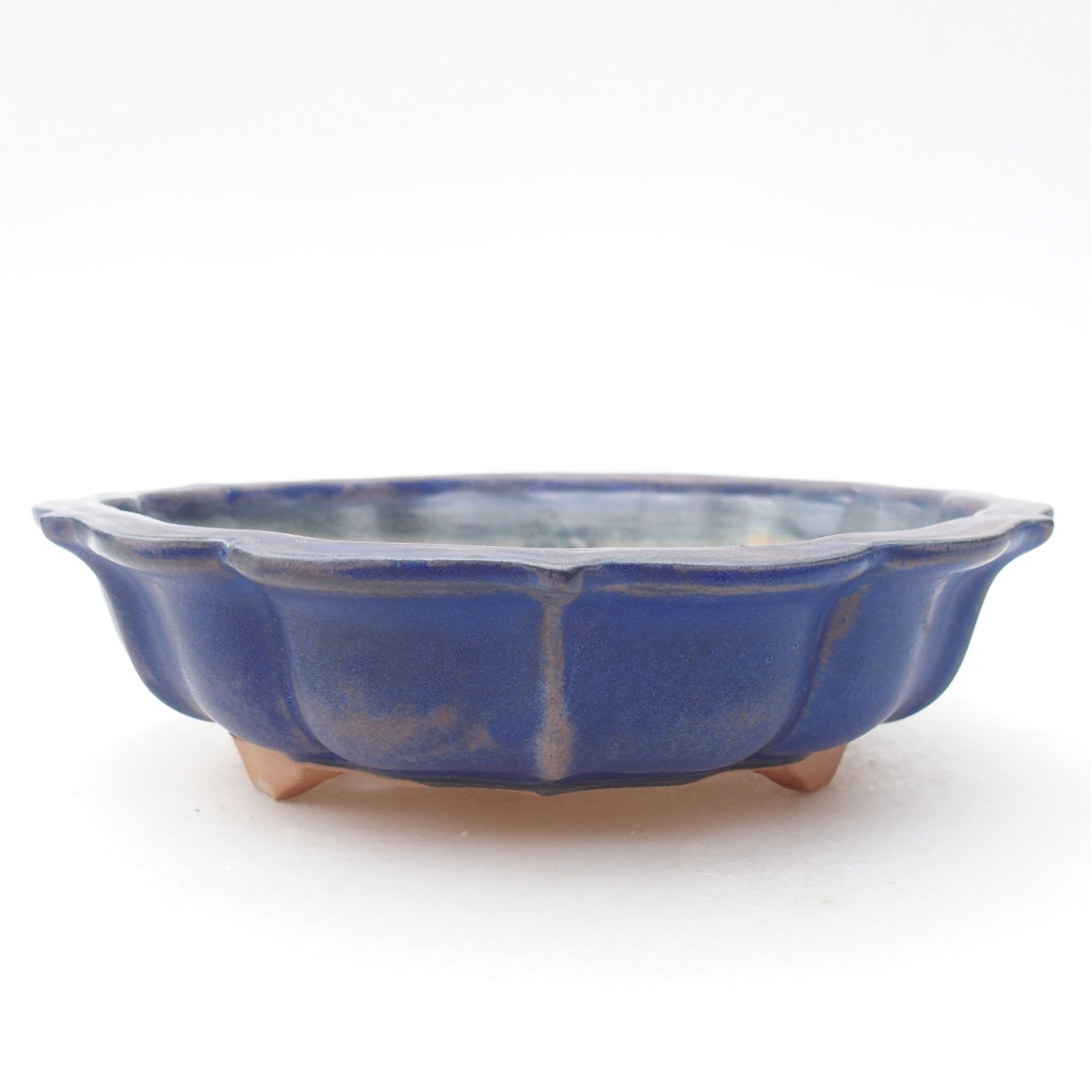 Ceramiczna miska bonsai 18,5 x 18,5 x 5 cm, kolor niebieski