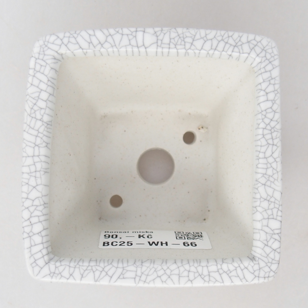 Ceramiczna miska do bonsai 8,5 x 8,5 x 5 cm, kolor raku