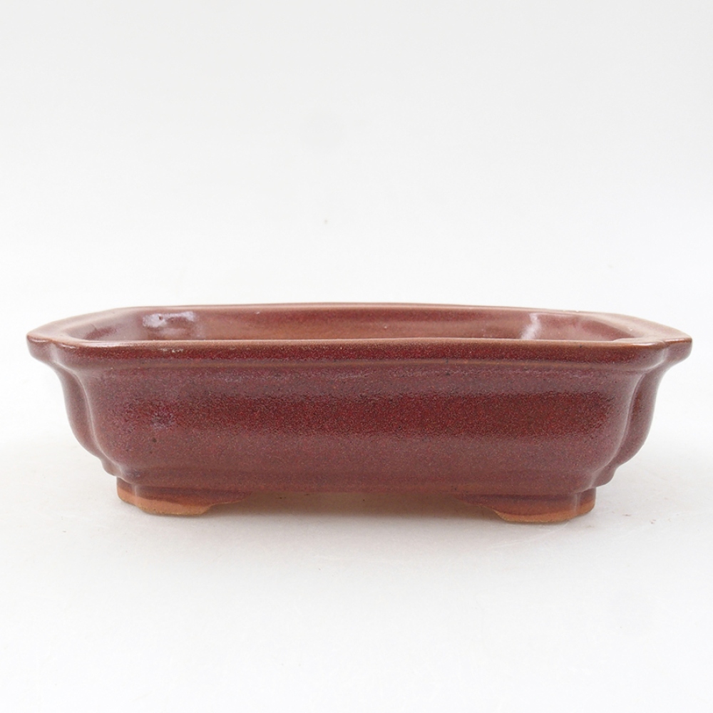 Ceramiczna miska bonsai 14 x 11 x 4 cm, kolor bordowy