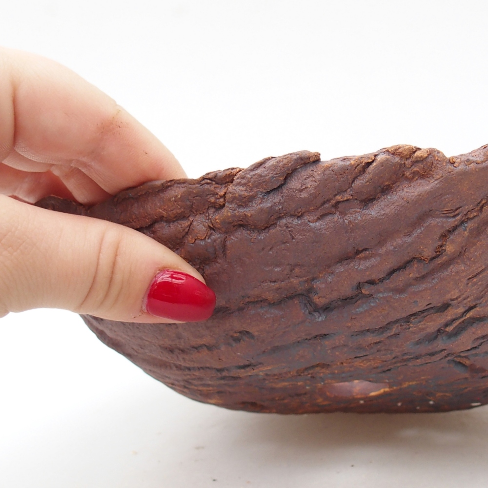 Ceramiczna muszla 20 x 15 x 6 cm, kolor brązowy