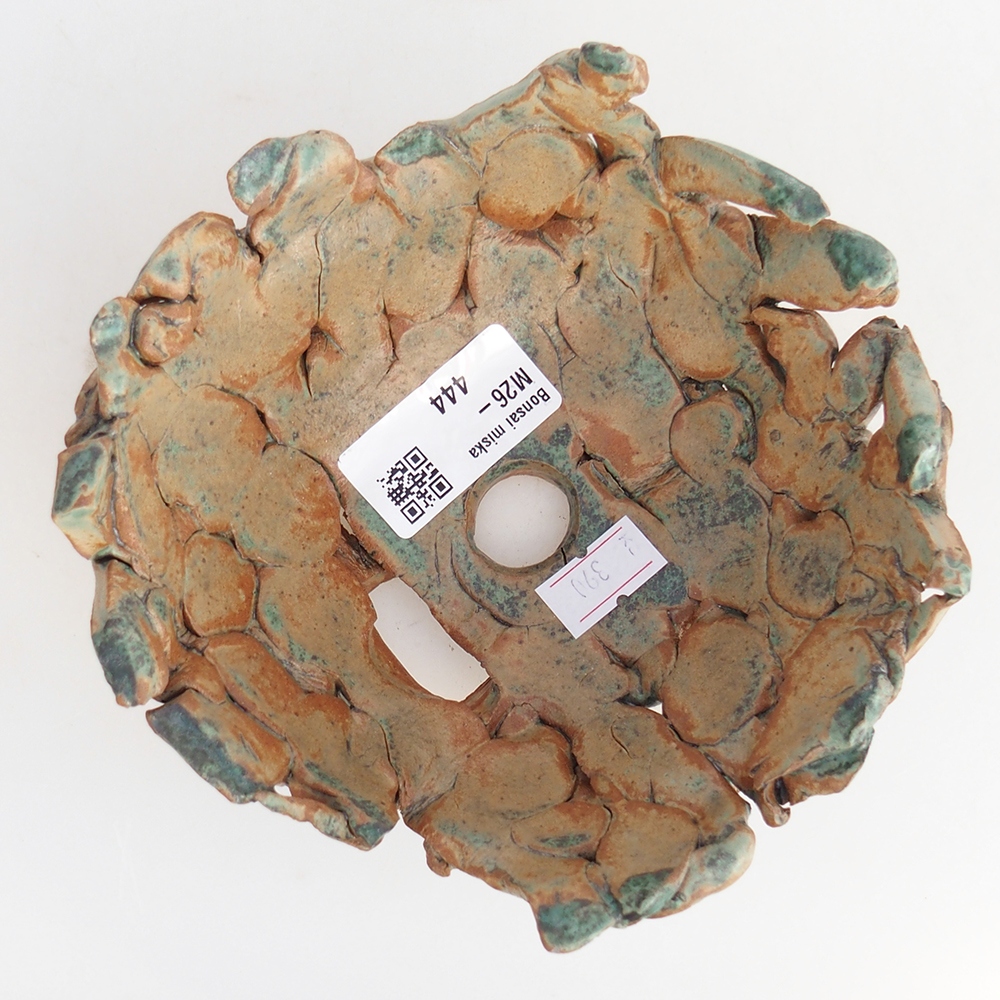 Ceramiczna skorupa 14 x 14 x 6,5 cm, kolor zielony