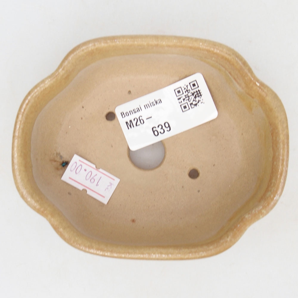 Ceramiczna miska do bonsai 10,5 x 8,5 x 3,5 cm, kolor beżowy