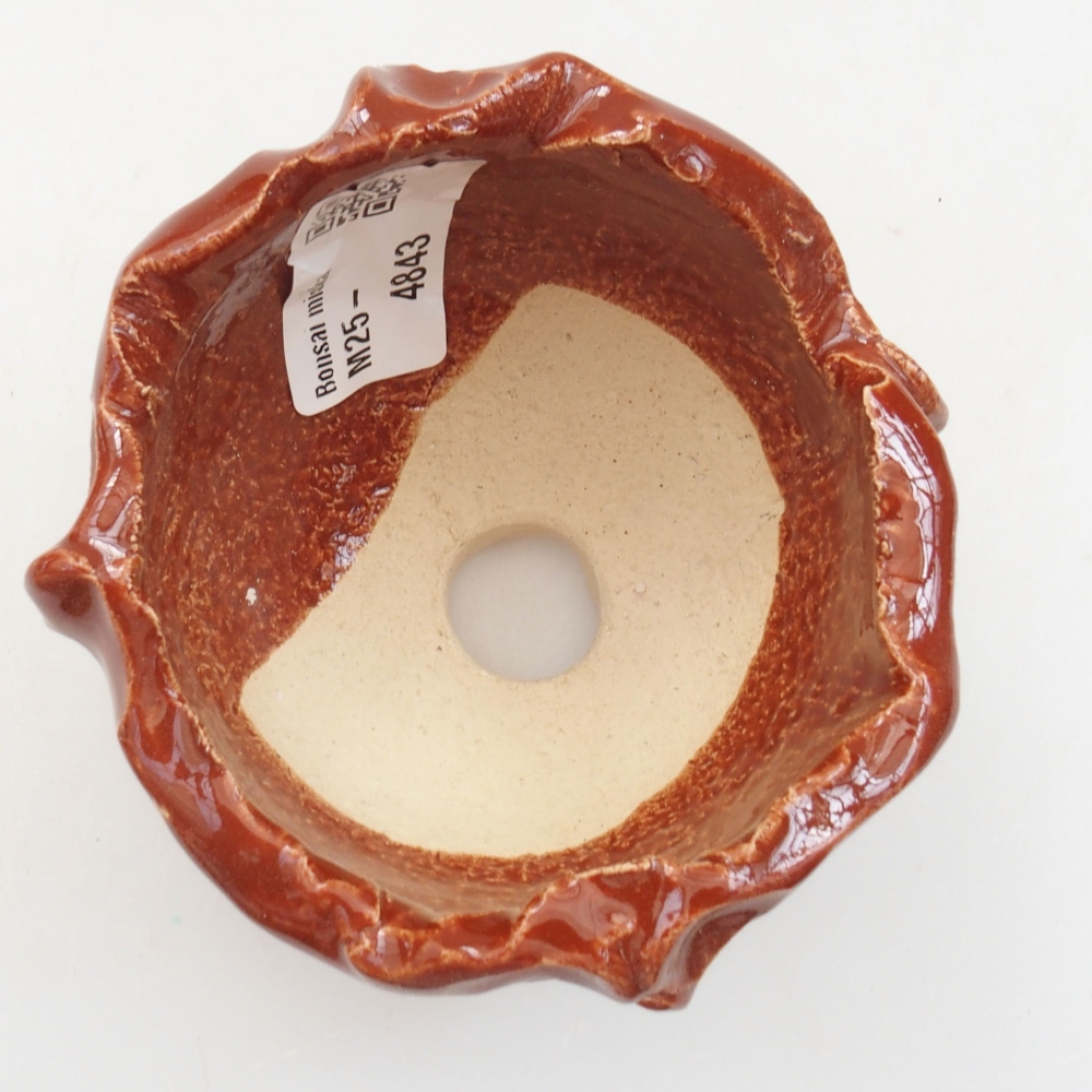 Muszla ceramiczna 7 x 7 x 6,5 cm, kolor brązowy