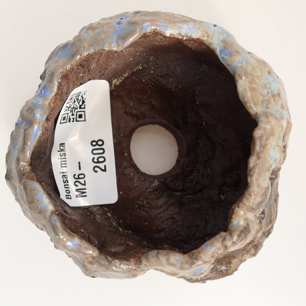 Ceramiczna skorupa  7 x 7 x 5 cm, kolor niebiesko-brązowy