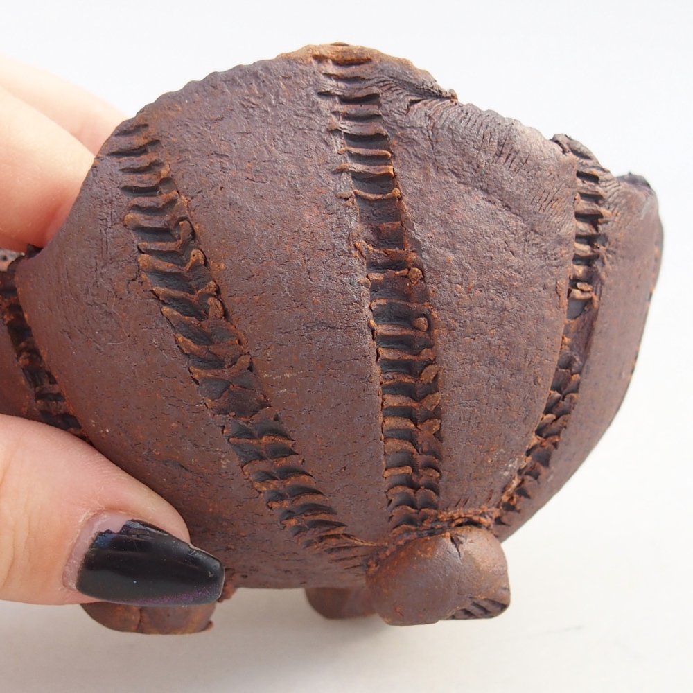 Ceramiczna muszla 9 x 9 x 7 cm, kolor brązowy