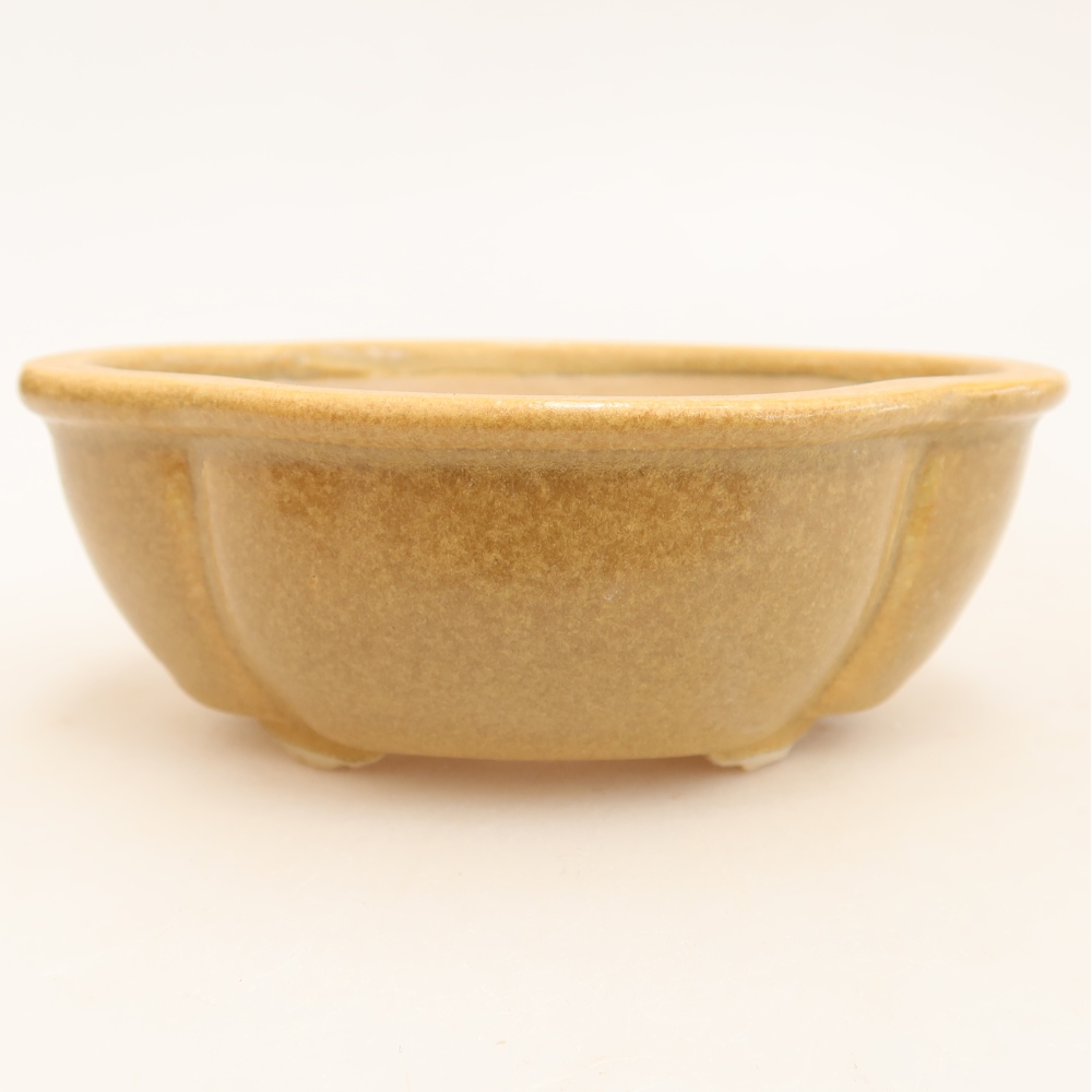 Ceramiczna miska do bonsai 12,5 x 10,5 x 4,5 cm, kolor beżowy
