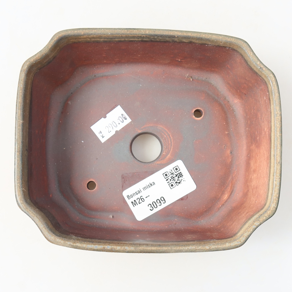 Ceramiczna miska do bonsai 14 x 11,5 x 4,5 cm, kolor brązowy