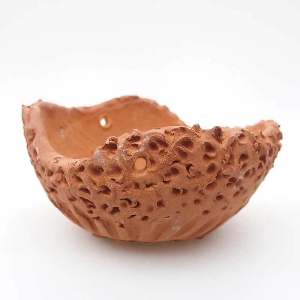 Muszla ceramiczna 13 x 14 x 7 cm, kolor brązowy