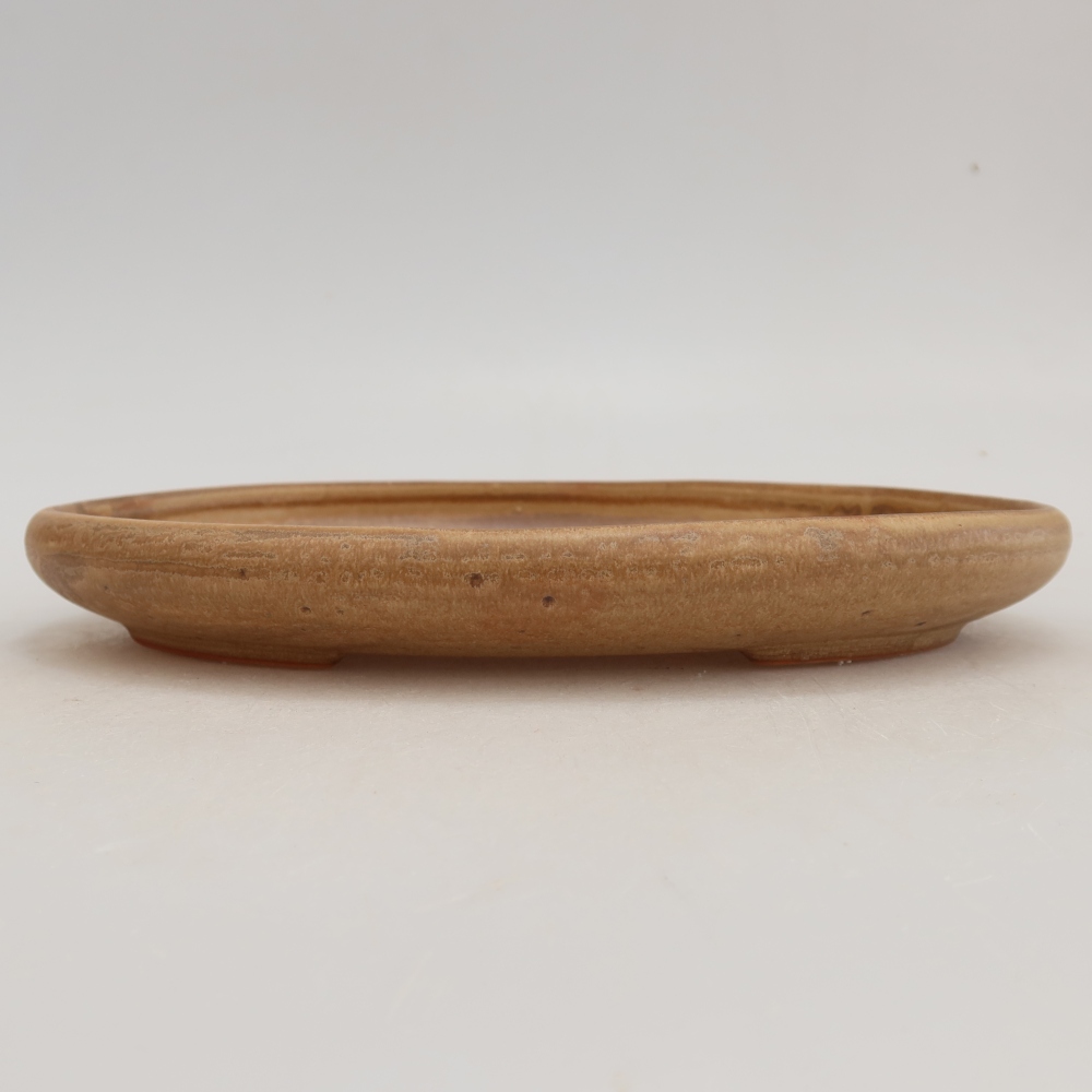Ceramiczna miska do bonsai 22,5 x 16,5 x 3 cm, kolor beżowy