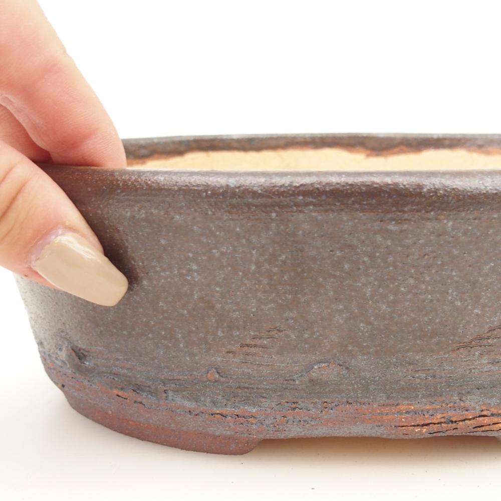 Misa do bonsai 20 x 16 x 6 cm, kolor brązowy