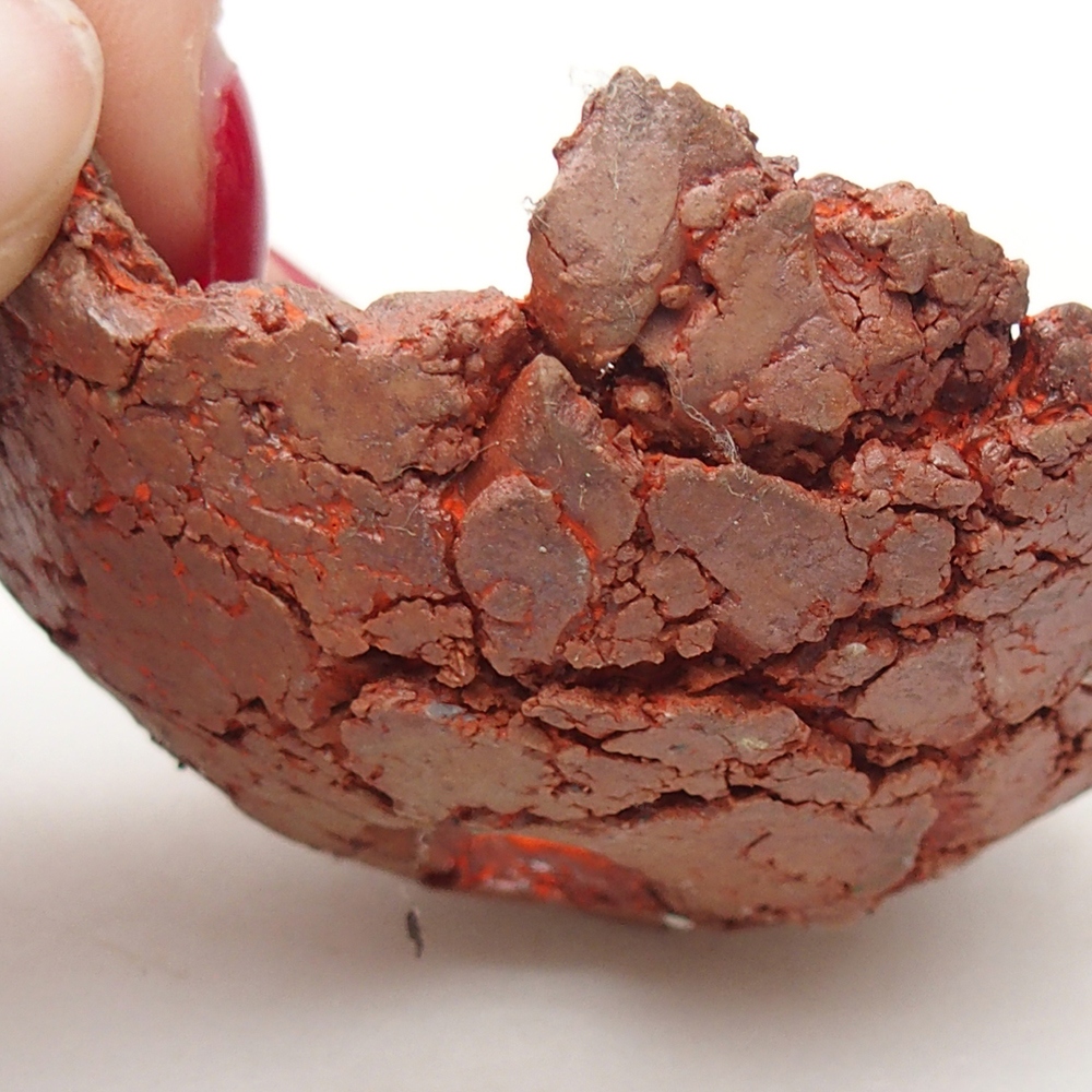 Ceramiczna muszla 7 x 7 x 4 cm, kolor pomarańczowy
