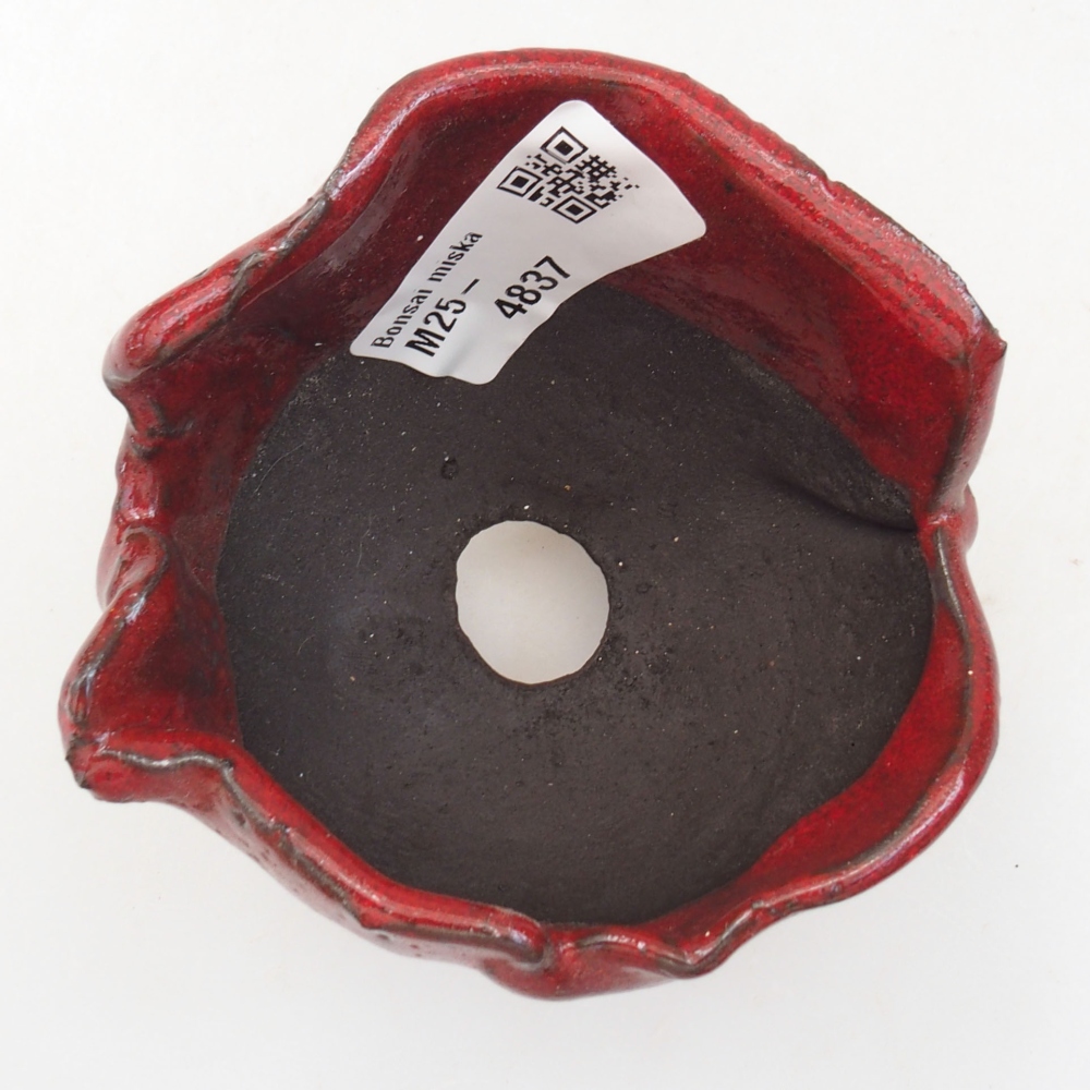Muszla ceramiczna 7,5 x 7,5 x 6 cm, kolor czerwony