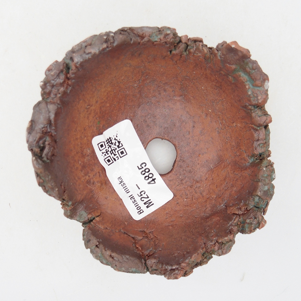 Muszla ceramiczna 9 x 9 x 5 cm, kolor zielony