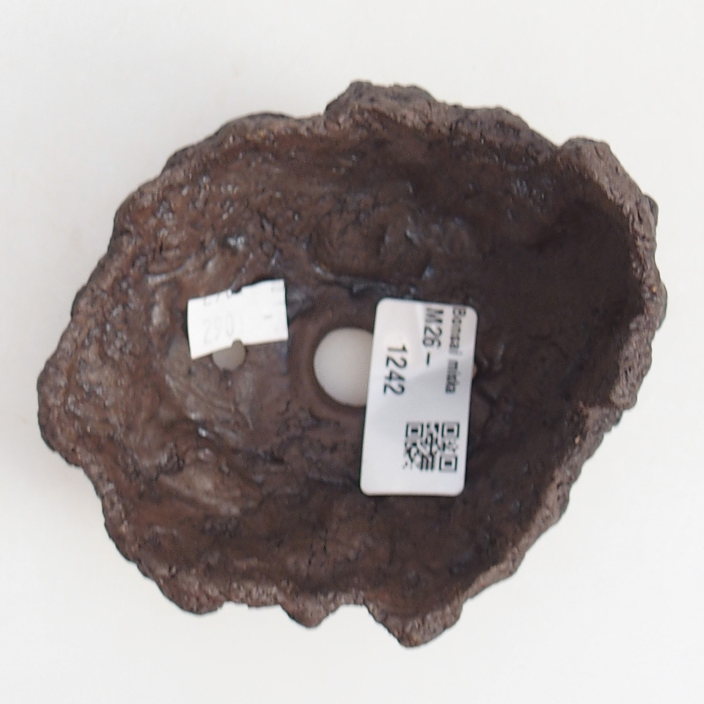 Muszla ceramiczna 10 x 9 x 7,5 cm, kolor brązowy