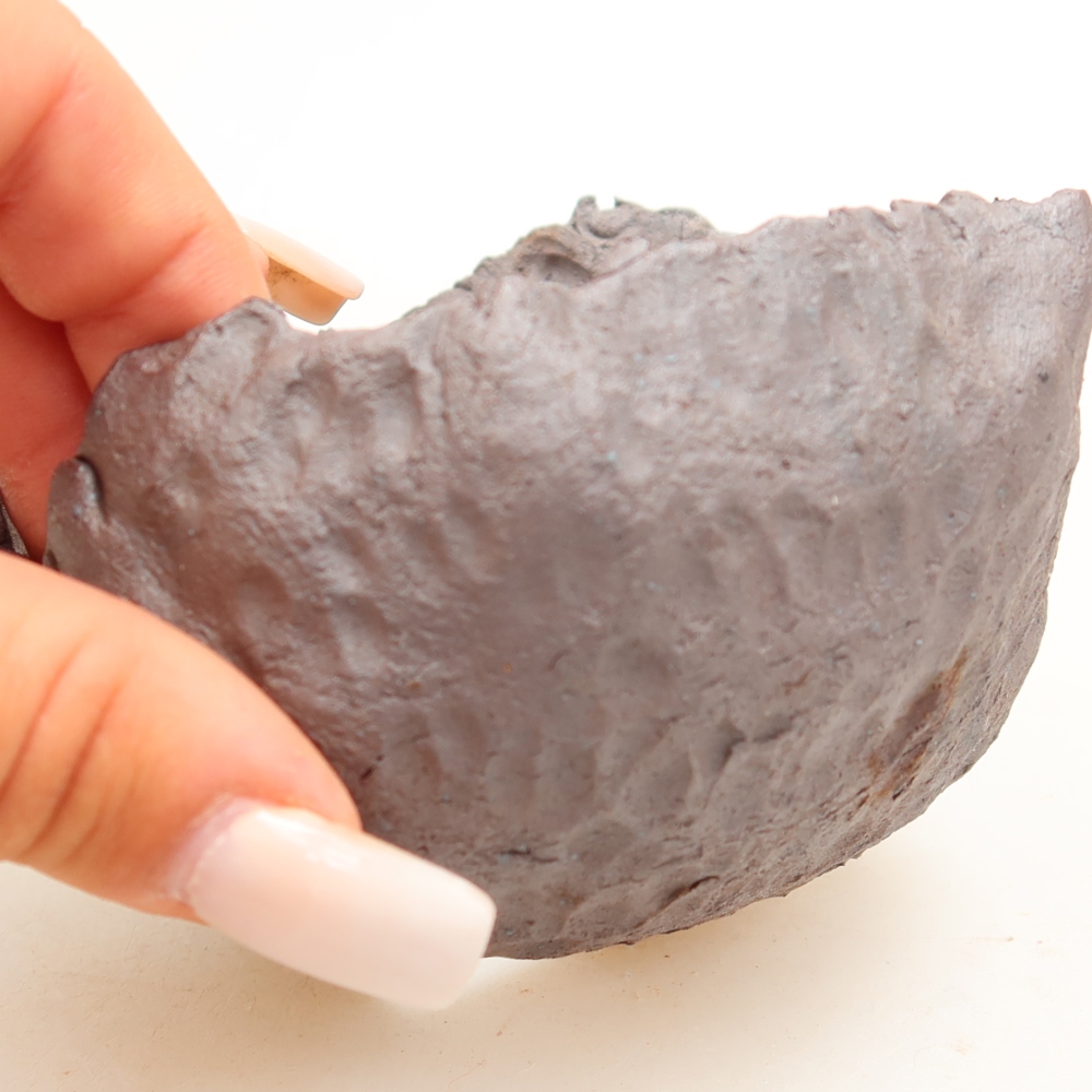 Ceramiczna skorupa  10 x 9,5 x 7 cm, kolor metaliczny