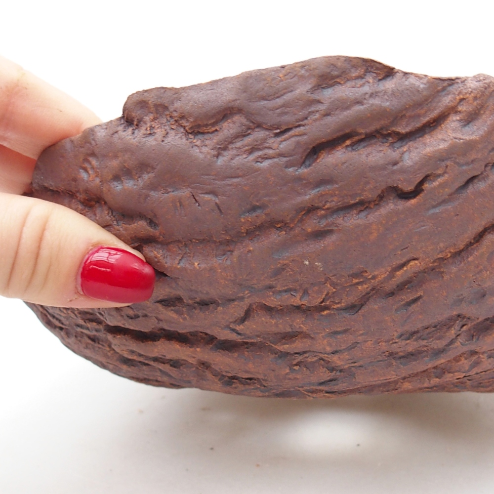 Ceramiczna muszla 19 x 19 x 6,5 cm, kolor brązowy