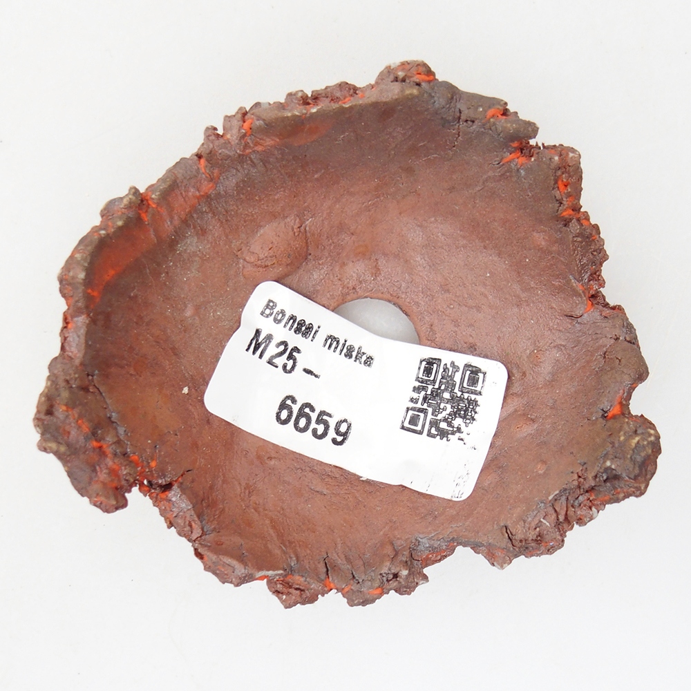 Ceramiczna muszla 7 x 7 x 3 cm, kolor pomarańczowy