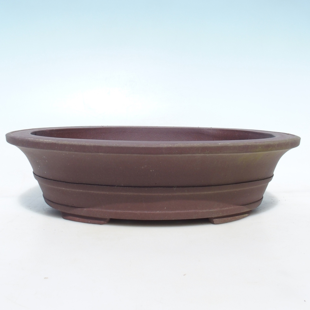 Misa bonsai 33 x 27 x 8,5 cm brzoza brązowa