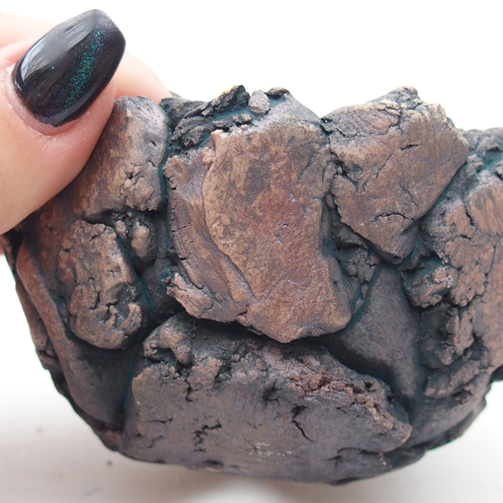 Ceramiczna muszla 9,5 x 9 x 6 cm, kolor zielony