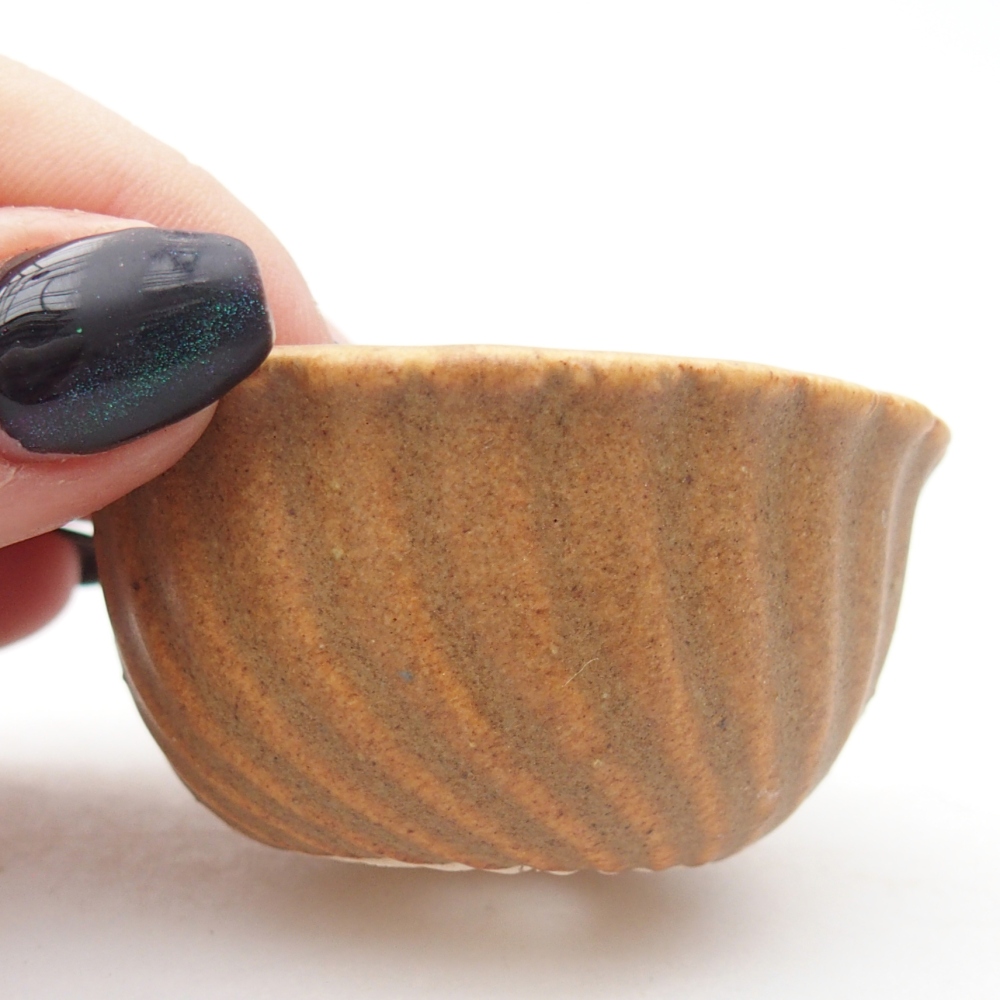 Mini miska do bonsai 5,5 x 5,5 x 3 cm, brązowa