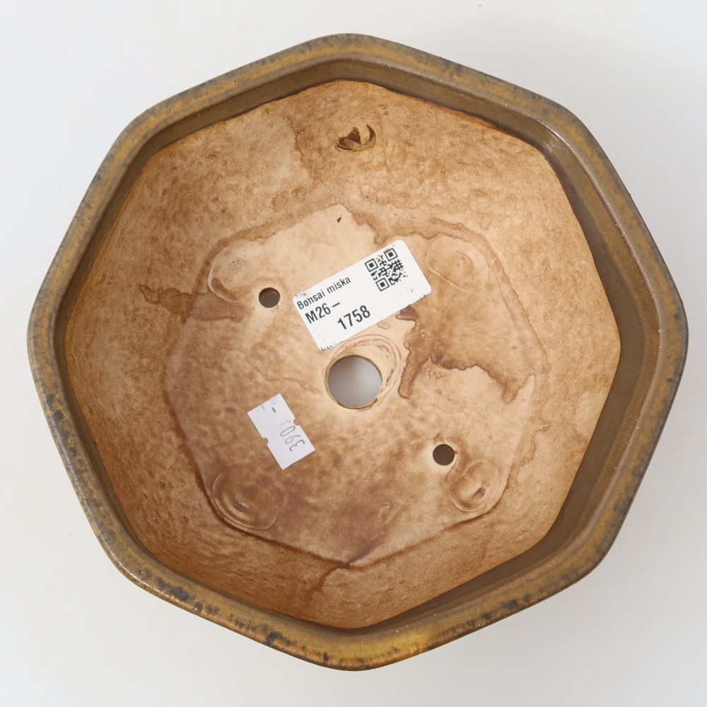 Ceramiczna miska do bonsai 17 x 16 x 6,5 cm, kolor brązowy