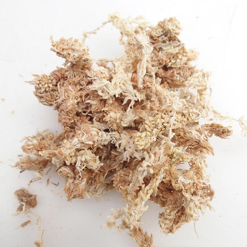 Sphagnum - mech torfowiec 250 gr