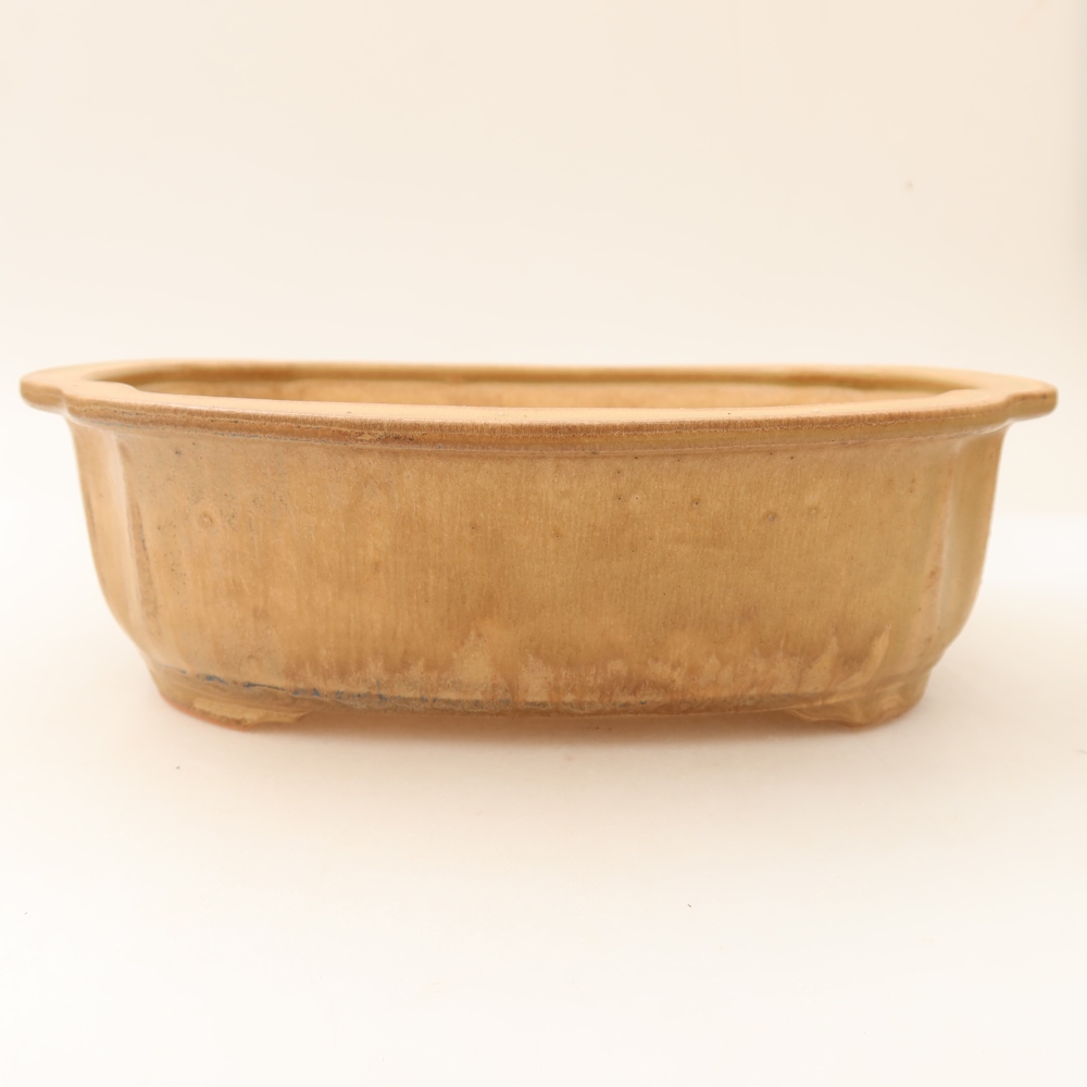 Ceramiczna miska do bonsai 24,5 x 21 x 7,5 cm, kolor beżowy