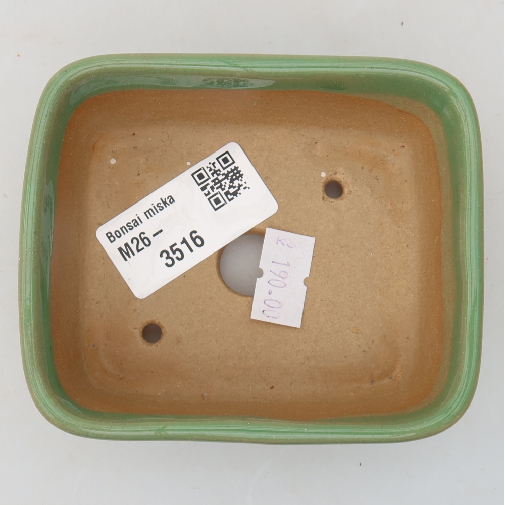 Ceramiczna miseczka do bonsai 10 x 8 x 3,5 cm, kolor zielony