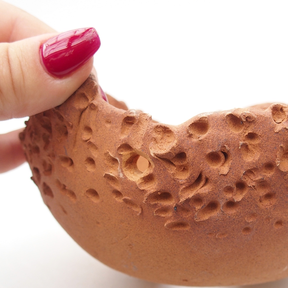 Muszla ceramiczna 13,5 x 13,5 x 8 cm, kolor brązowy