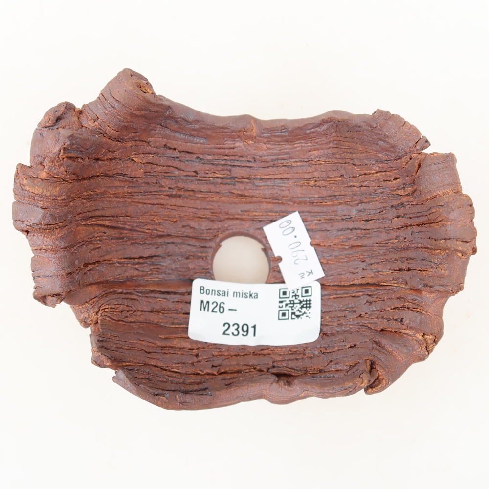 Ceramiczna skorupa  11,5 x 8,5 x 6,5 cm, kolor brązowy